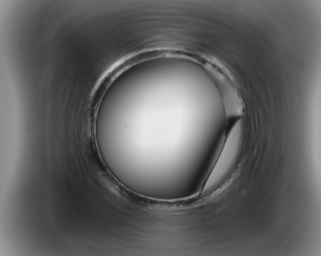X0000083591069200703091714