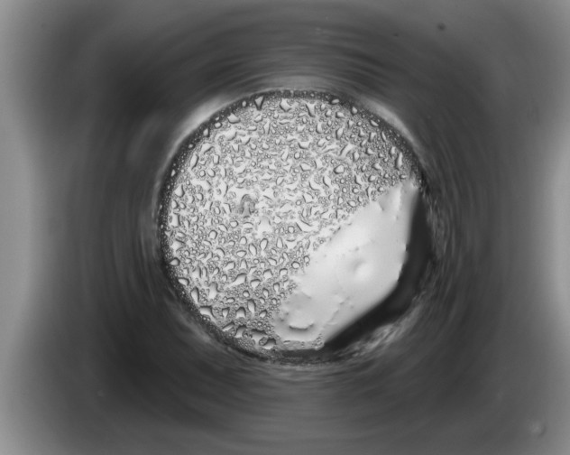 X0000083591071200703091714