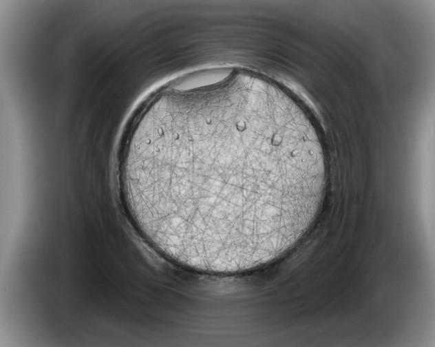X0000083591072200703091714