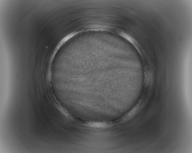 X0000083591074200703091714