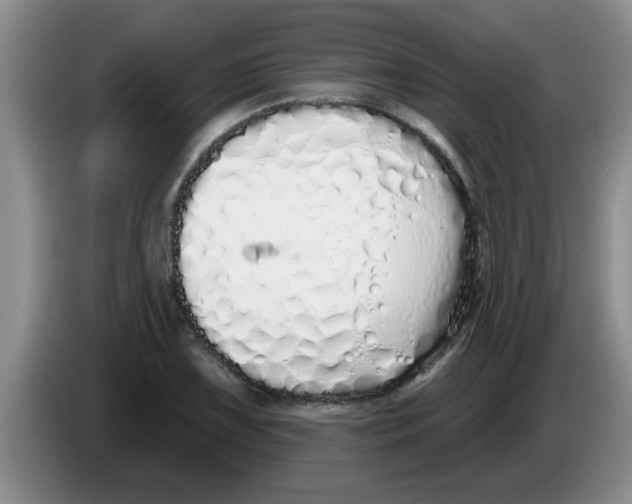 X0000083591075200703091714