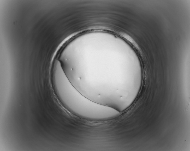 X0000083591076200703091714