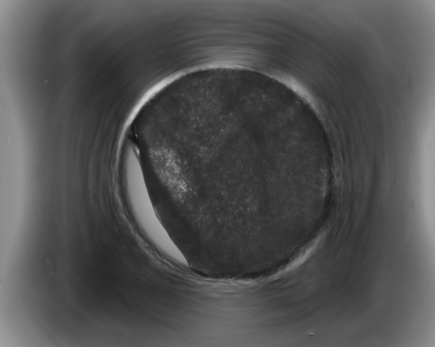 X0000083591077200703091714