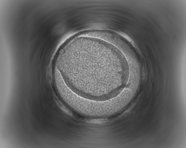 X0000083591078200703091714