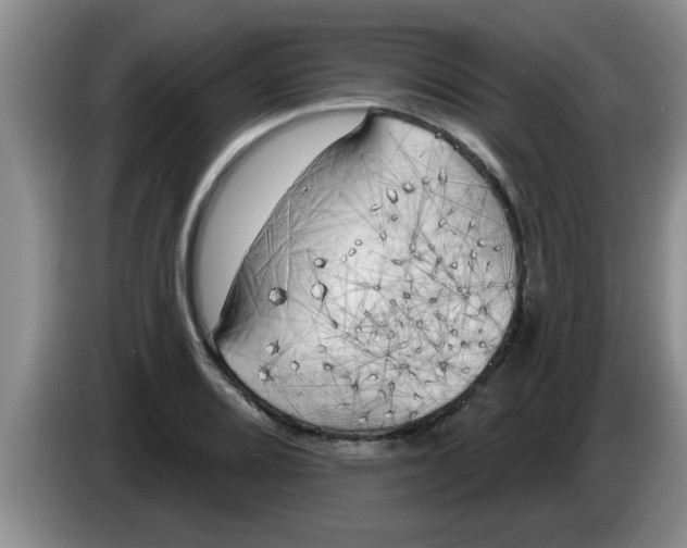 X0000083591080200703091714
