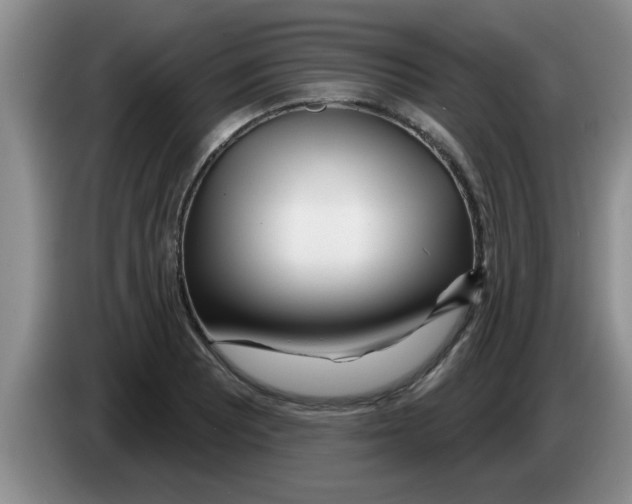 X0000083591081200703091714
