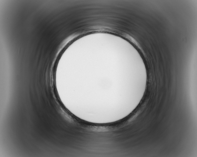 X0000083591082200703091714