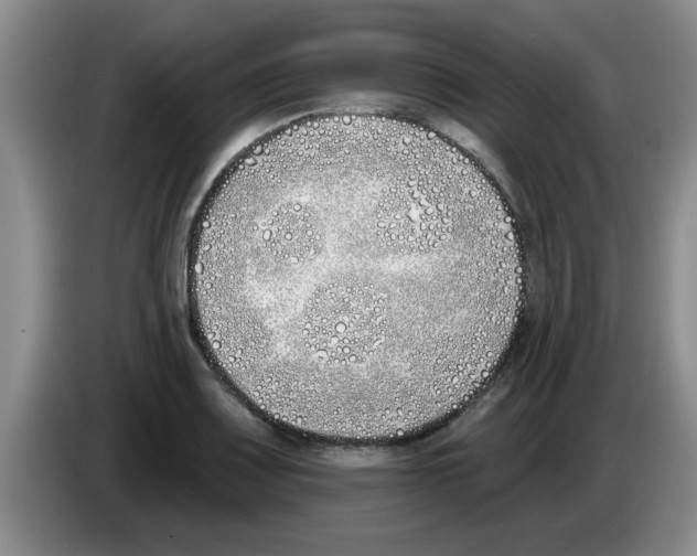 X0000083591083200703091714