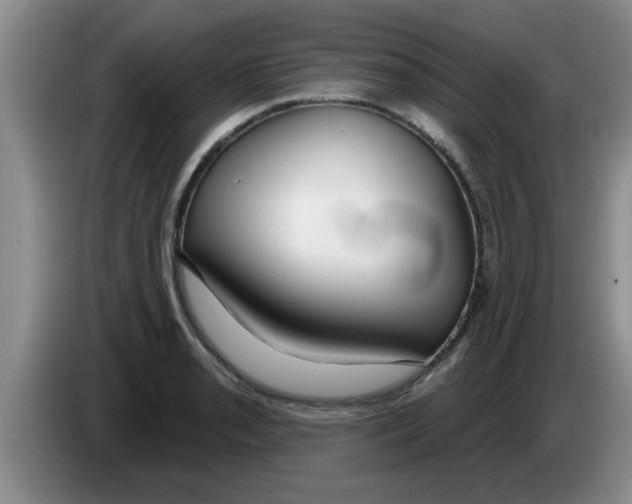 X0000083591085200703091714
