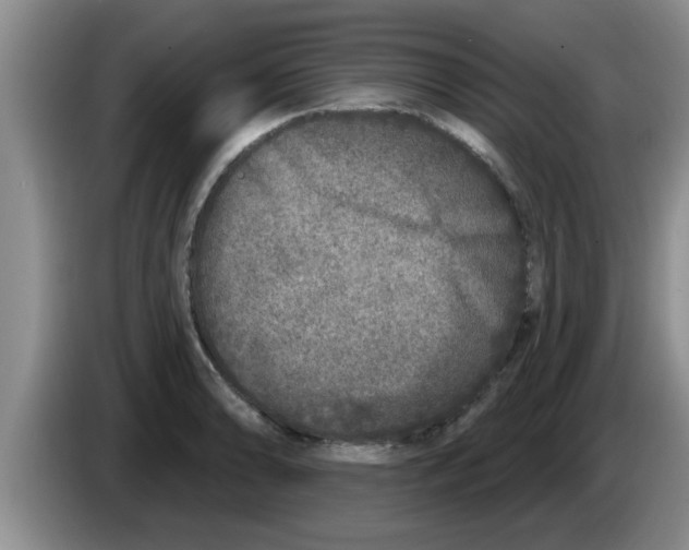 X0000083591086200703091714