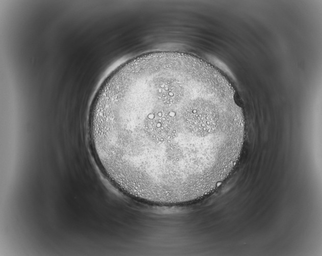 X0000083591087200703091714