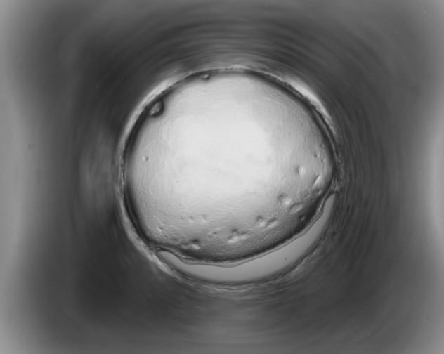 X0000083591088200703091714