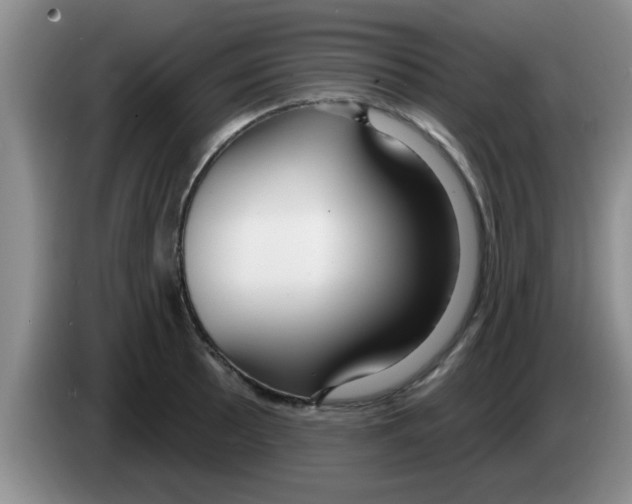 X0000083591089200703091714
