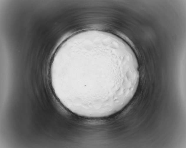 X0000083591091200703091714