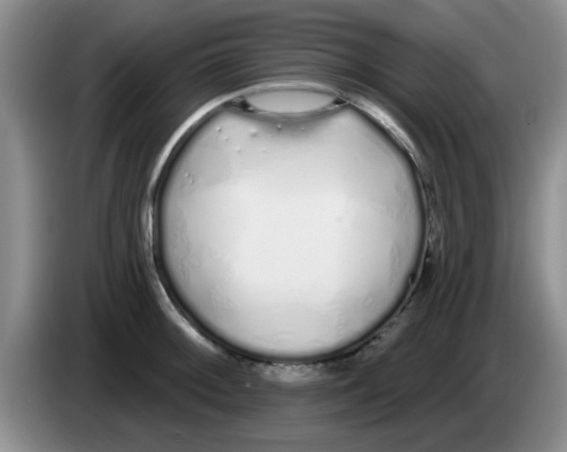 X0000083591092200703091714