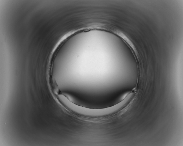 X0000083591093200703091714