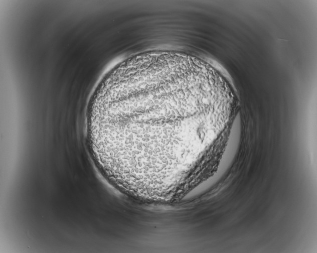X0000083591095200703091714