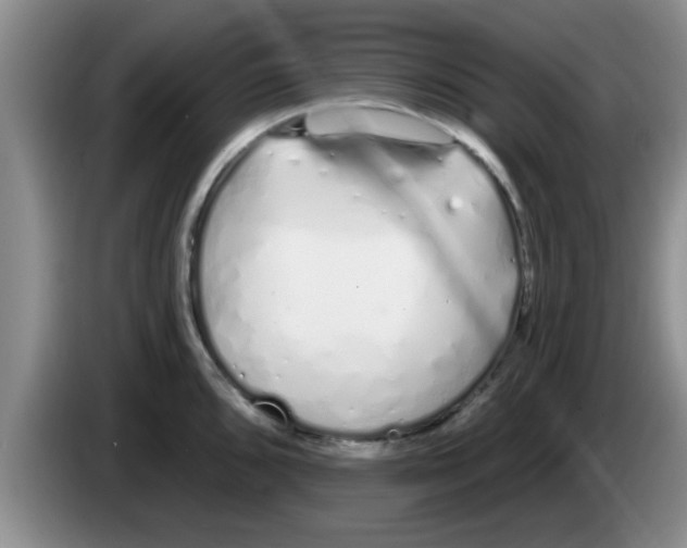 X0000083591096200703091714