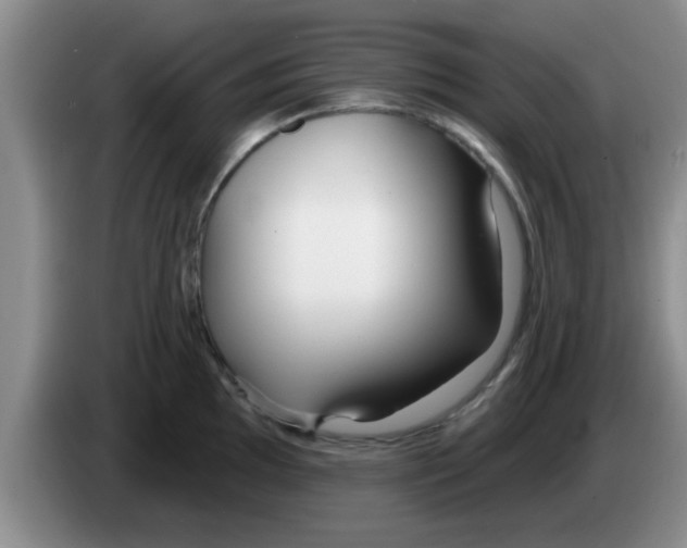 X0000083591097200703091714