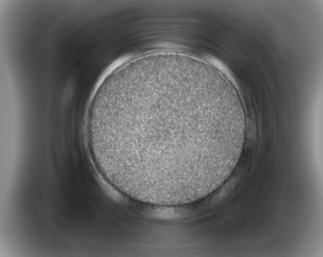 X0000083591098200703091714