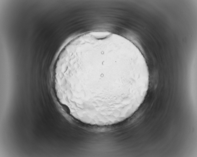 X0000083591099200703091714