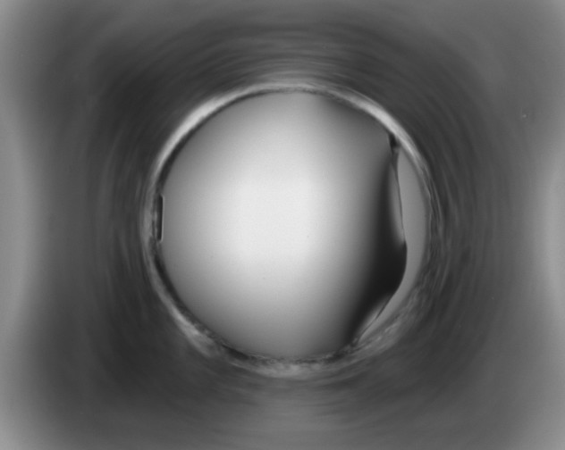 X0000083591101200703091714