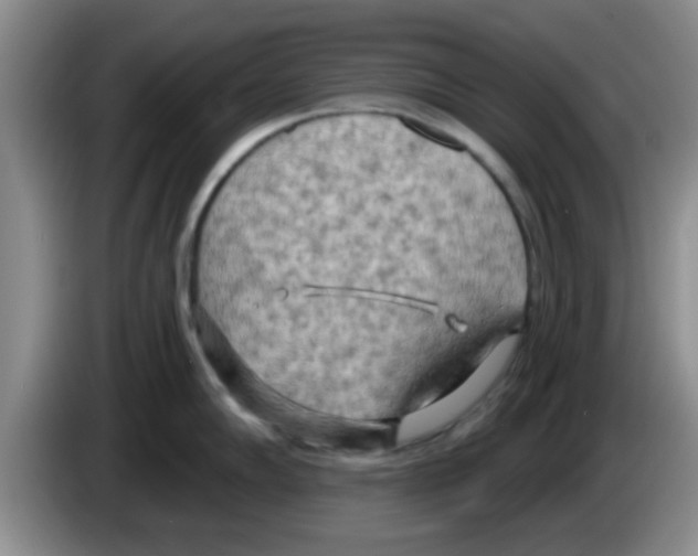 X0000083591102200703091714