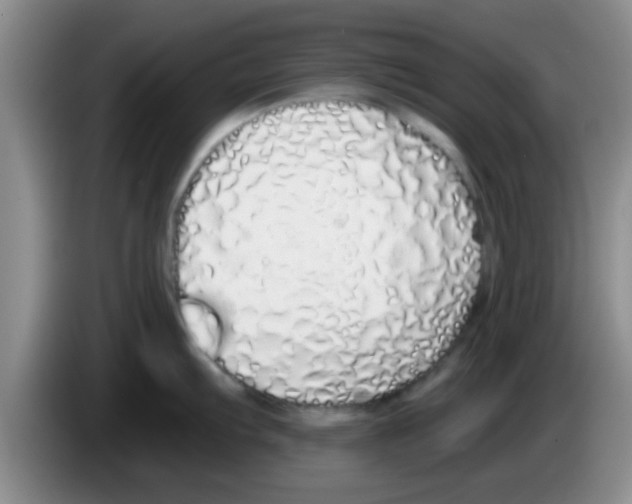 X0000083591103200703091714