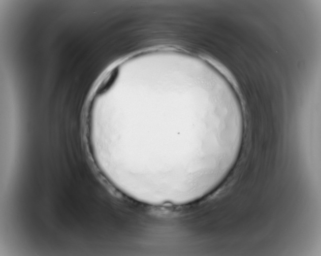 X0000083591104200703091714