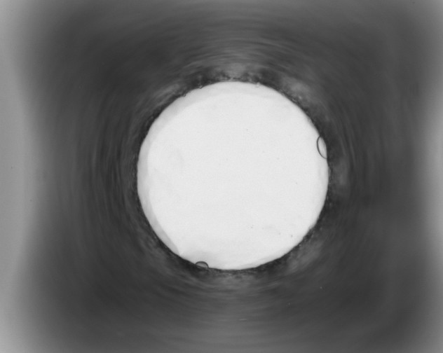 X0000083591105200703091713