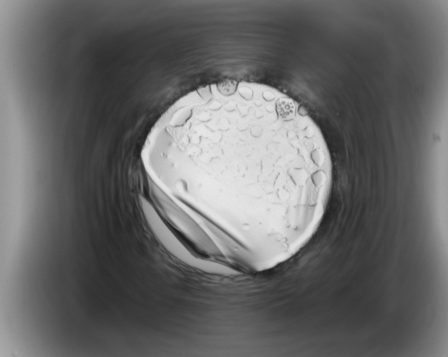 X0000083591106200703091713
