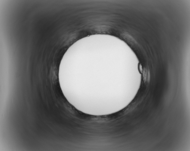 X0000083591107200703091713