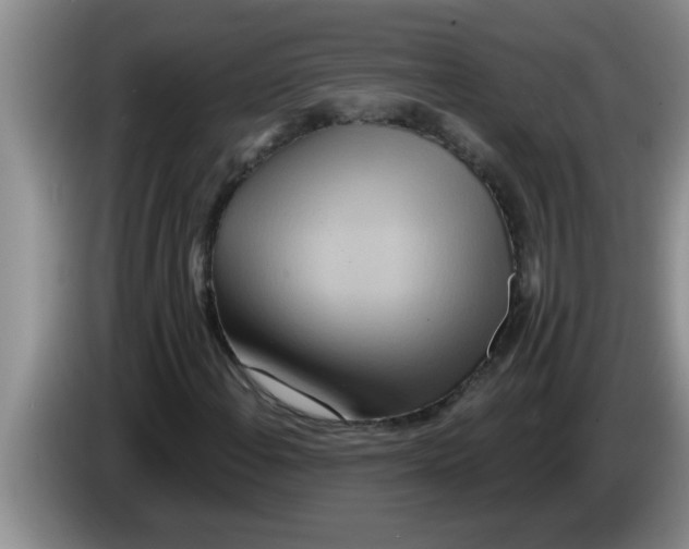 X0000083591108200703091713