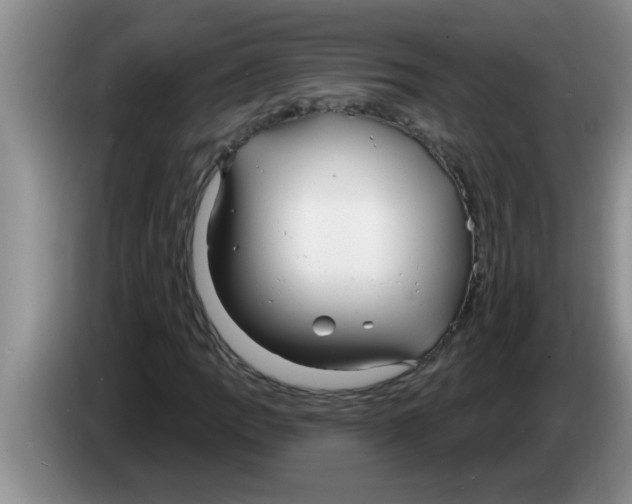 X0000083591109200703091713