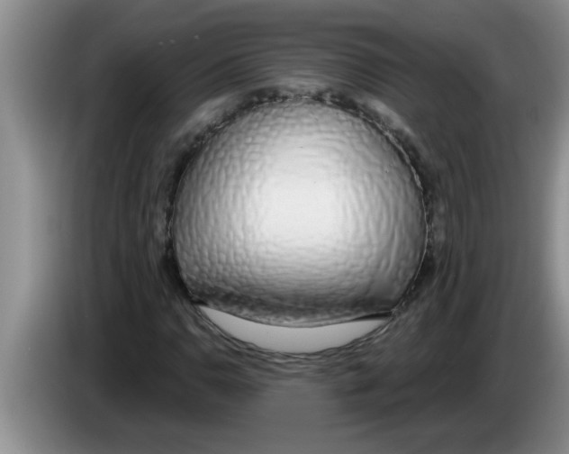 X0000083591110200703091713