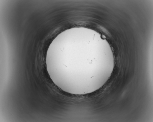 X0000083591111200703091713