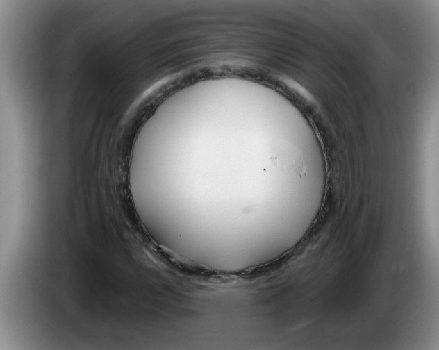 X0000083591112200703091713