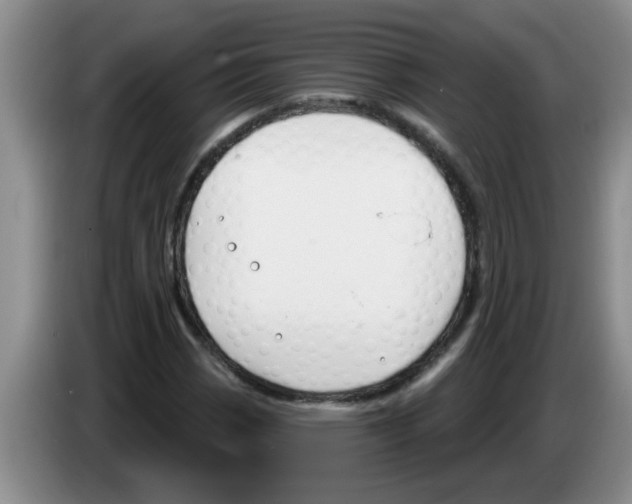 X0000083591113200703091713