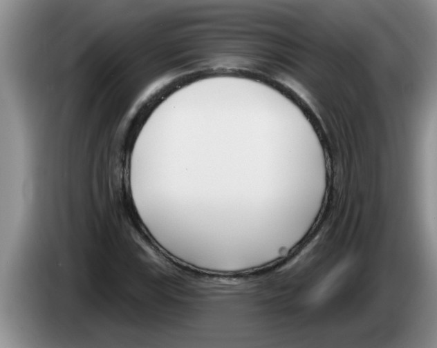 X0000083591115200703091713
