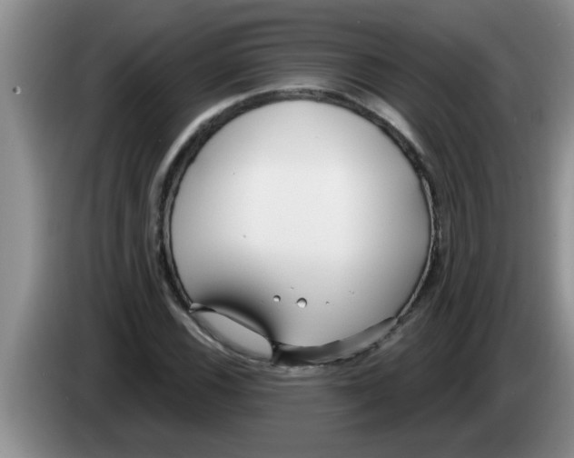 X0000083591116200703091713
