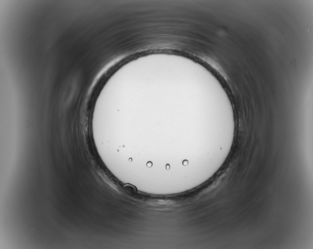 X0000083591119200703091713