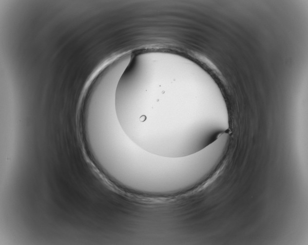 X0000083591122200703091713