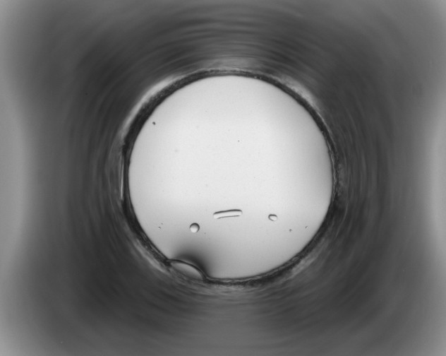 X0000083591123200703091713