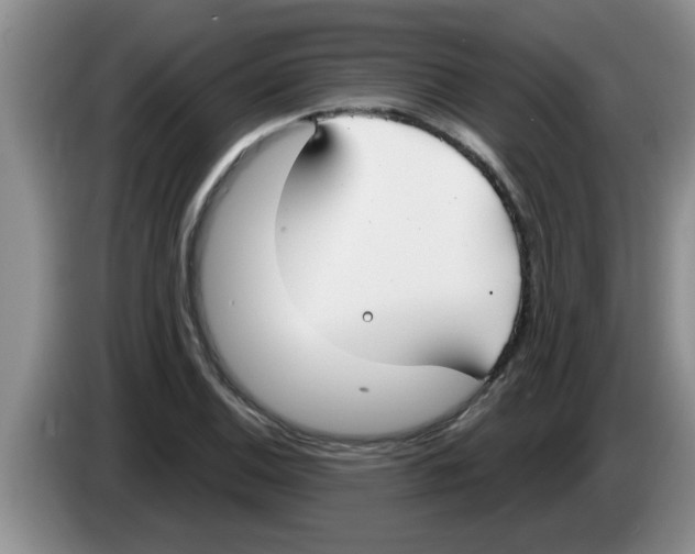 X0000083591124200703091713