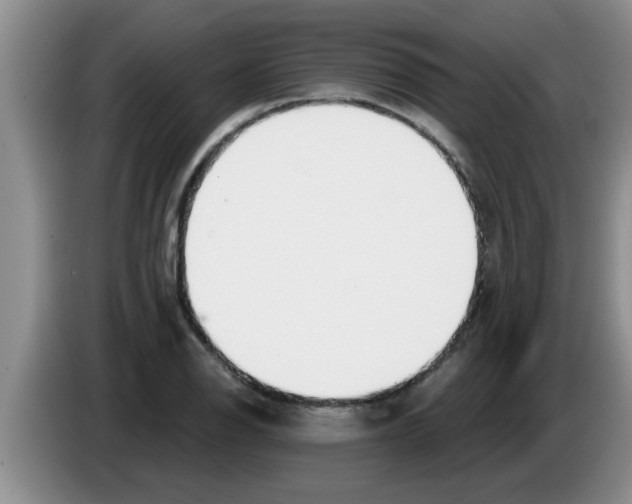 X0000083591126200703091713