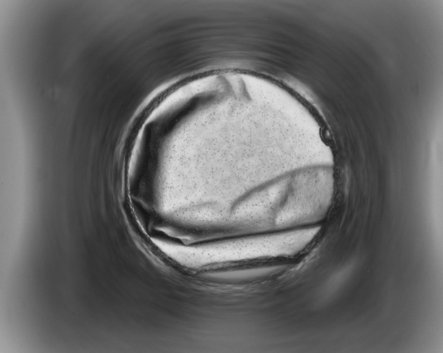 X0000083591127200703091713
