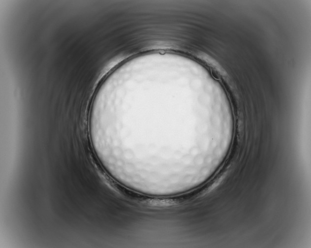 X0000083591129200703091713