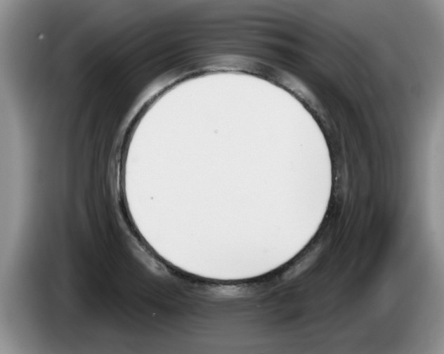 X0000083591130200703091713