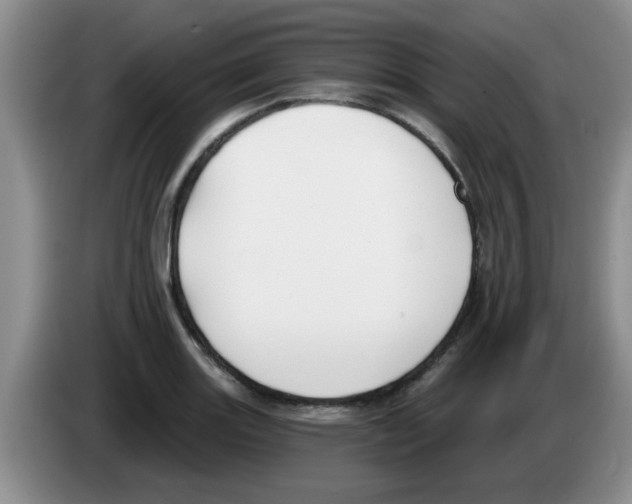 X0000083591131200703091714