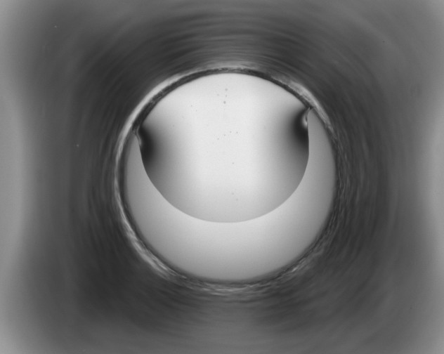 X0000083591132200703091714
